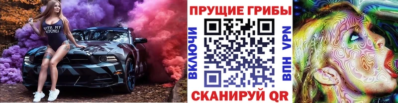 дарнет шоп  Новопавловск  Галлюциногенные грибы мицелий 
