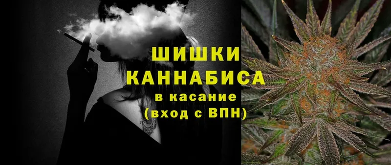 Бошки марихуана LSD WEED  наркошоп  Новопавловск 